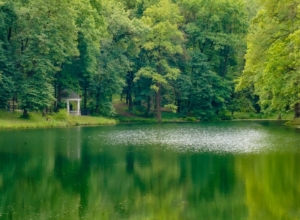 В Туле продолжат застраивать земли возле Платоновского парка
