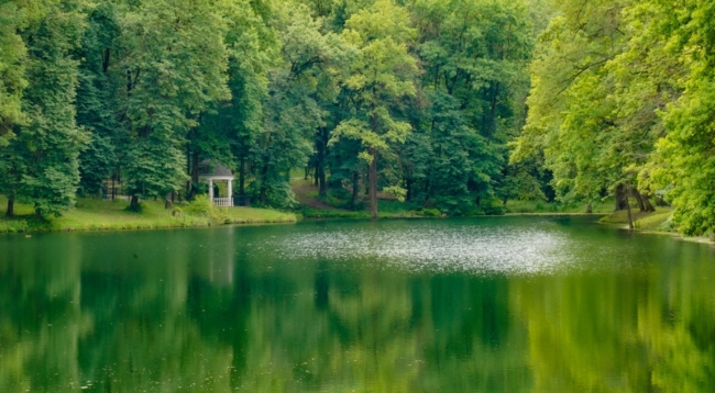 Ð Ð¢ÑÐ»Ðµ Ð¿ÑÐ¾Ð´Ð¾Ð»Ð¶Ð°Ñ Ð·Ð°ÑÑÑÐ°Ð¸Ð²Ð°ÑÑ Ð·ÐµÐ¼Ð»Ð¸ Ð²Ð¾Ð·Ð»Ðµ ÐÐ»Ð°ÑÐ¾Ð½Ð¾Ð²ÑÐºÐ¾Ð³Ð¾ Ð¿Ð°ÑÐºÐ°