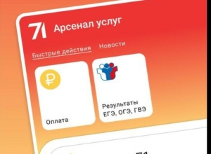 Тульские госуслуги признаны одними из самых удобных в России