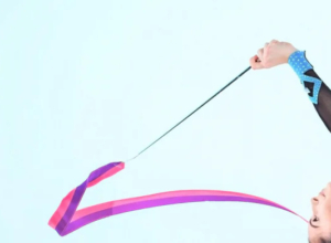 В Туле 1292 ребенка занимаются художественной гимнастикой — каждый третий уже имеет разряд