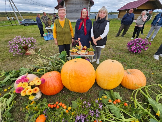 Ð£ÑÐ¾Ð¶Ð°Ð¹ Ð²ÐµÑÐ¾Ð¼ Ð² ÑÐµÐ½ÑÐ½ÐµÑ: ÐºÐ°Ðº Ð¿ÑÐ¾ÑÐµÐ» ÐºÐ¾Ð½ÐºÑÑÑ ÑÑÐºÐ² Ð² ÑÑÐ»ÑÑÐºÐ¾Ð¼ ÑÐµÐ»Ðµ ÐÐ¾ÐºÑÑÐ¹ ÐÐ¾ÑÑ