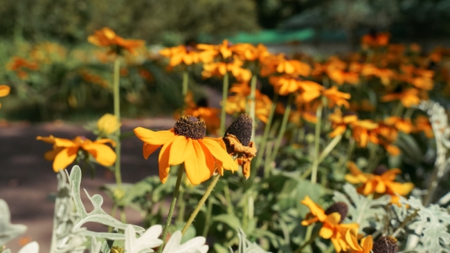 ÐÐ°ÑÐºÐ¸Ð¹ ÑÐµÐºÐ¾ÑÐ´: Ð² Ð¢ÑÐ»Ðµ 22 ÑÐµÐ½ÑÑÐ±ÑÑ ÑÑÐ°Ð»Ð¾ ÑÐ°Ð¼ÑÐ¼ ÑÐµÐ¿Ð»ÑÐ¼ Ð·Ð° 7 Ð»ÐµÑ