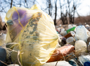 В Тульской области обнаружили незаконную свалку. Вмешался Россельхознадзор