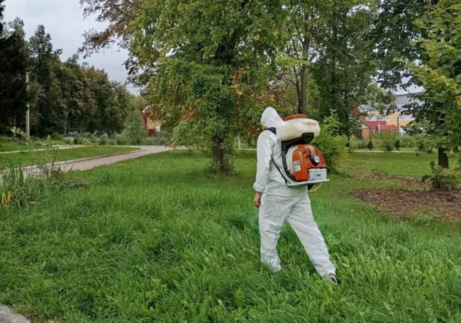 ÐÐ´Ðµ Ð² Ð¯ÑÐ½Ð¾Ð³Ð¾ÑÑÐºÐµ Ð¾Ð±ÑÐ°Ð±Ð¾ÑÐ°Ð»Ð¸ Ð¾Ñ ÐºÐ»ÐµÑÐµÐ¹ â ÑÐ¿Ð¸ÑÐ¾Ðº ÑÐµÑÑÐ¸ÑÐ¾ÑÐ¸Ð¹