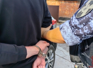 Дебошира задержали на красноармейском проспекте в Туле