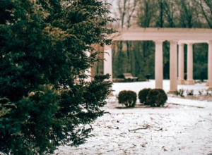 Синоптики рассказали, какая зима ждет жителей Центральной России