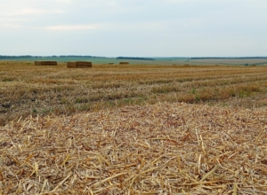 В Плавском районе убрано уже более 78% зерновых — собрано 166 тысяч тонн