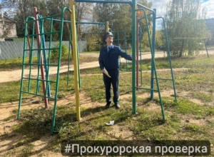 Ребенок травмировался на детской площадке в Алексине. Прокуратура нашла нарушения