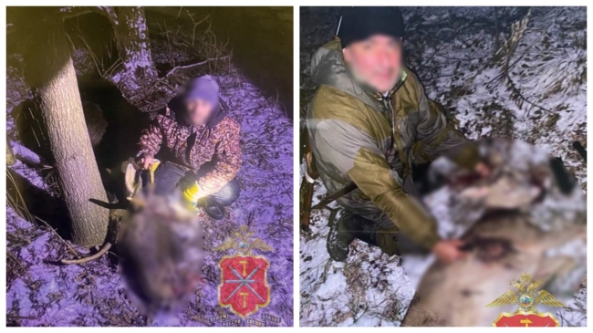 ÐÐ¾ÑÐºÐ²Ð¸ÑÐ° Ð¸ Ð°ÑÐ¼ÑÐ½Ð¸Ð½Ð° Ð·Ð°Ð´ÐµÑÐ¶Ð°Ð»Ð¸ Ð·Ð° Ð½ÐµÐ·Ð°ÐºÐ¾Ð½Ð½ÑÑ Ð¾ÑÐ¾ÑÑ Ð½Ð° Ð»Ð¾ÑÐµÐ¹ Ð¿Ð¾Ð´ Ð¢ÑÐ»Ð¾Ð¹