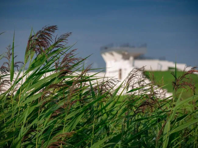 Ð Ð¢ÑÐ»ÑÑÐºÐ¾Ð¹ Ð¾Ð±Ð»Ð°ÑÑÐ¸ Ð² 2030 Ð³Ð¾Ð´Ñ Ð¿ÑÐ¾Ð¹Ð´ÐµÑ Ð¸ÑÑÐ¾ÑÐ¸ÑÐµÑÐºÐ°Ñ ÑÐµÐºÐ¾Ð½ÑÑÑÑÐºÑÐ¸Ñ ÐÑÐ»Ð¸ÐºÐ¾Ð²ÑÐºÐ¾Ð¹ Ð±Ð¸ÑÐ²Ñ