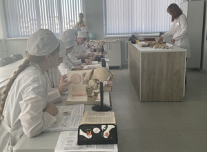 2500 студентов готовятся стать медиками в тульском областном колледже