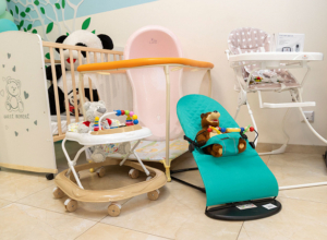 Молодым семьям в Туле помогут: коляску и автокресло теперь можно взять напрокат