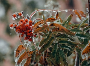 Первый снег может накрыть Тулу уже во второй половине октября