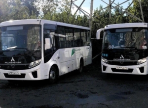 В Туле новые автобусы выйдут на маршруты №50, №35л, №40 и №36