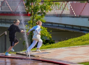 15 проектов тульской молодежи получат гранты. Что это за инициативы?