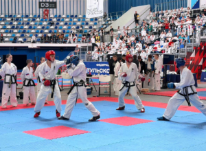 В Туле проходит первенство ЦФО по тхэквондо МФТ