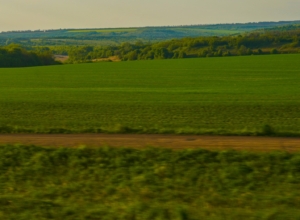 Незастроенный участок в тульских Липках отдадут под комплексное развитие