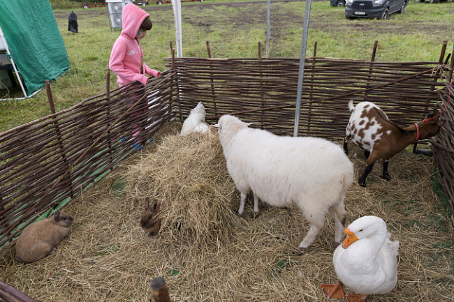 Ð Ð¢ÑÐ»ÑÑÐºÐ¾Ð¹ Ð¾Ð±Ð»Ð°ÑÑÐ¸ Ð²ÑÑÐ¾Ñ ÑÐ¿ÑÐ¾Ñ Ð½Ð° Ð±ÑÐ¾Ð½Ð¸ÑÐ¾Ð²Ð°Ð½Ð¸Ðµ ÑÐµÑÐ¼ Ð¸ Ð² Ð³Ð»ÑÐ¼Ð¿Ð¸Ð½Ð³Ð¾Ð²
