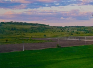 В Тульской области в сельхозоборот введено почти 20 гектаров земель