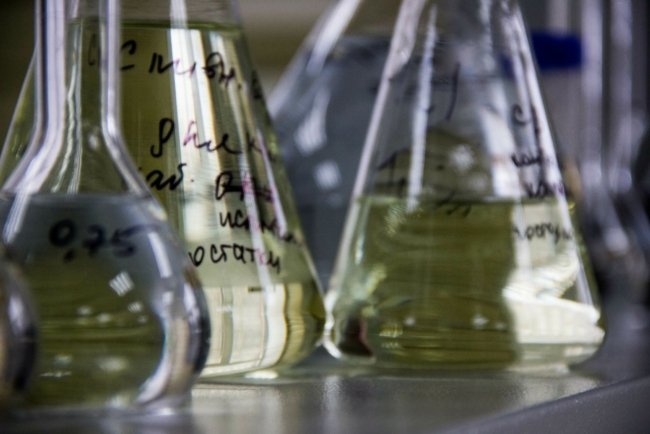 Ð¢ÑÐ»ÑÐºÐ¸ Ð¼Ð¾Ð³ÑÑ Ð¿ÑÐ¾Ð´ÐµÐ¼Ð¾Ð½ÑÑÑÐ¸ÑÐ¾Ð²Ð°ÑÑ ÑÐ²Ð¾Ð¸ Ð·Ð½Ð°Ð½Ð¸Ñ Ð¾Ð± Ð°Ð»ÑÐ¸Ð¼Ð¸Ð¸ Ð¸ Ð·ÐµÐ»ÑÑÑ Ð½Ð° ÐºÐ²Ð¸Ð·Ðµ Ð¢ÐÐÐÐ°