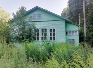 «Тульские засеки» требуют отменить результаты торгов по продаже заброшенного лагеря в Озерном