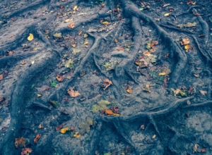 Вильфанд заявил, что тепла в России больше не будет