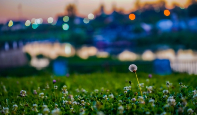 ÐÐ° Ð±ÐµÑÐµÐ³Ñ Ð£Ð¿Ñ ÑÐ¾ÑÑÑ ÑÐ¾Ð·Ð´Ð°ÑÑ Ð¿ÐµÑÐ²ÑÑ ÑÐµÐ¼ÐµÐ¹Ð½ÑÑ Ð½Ð°Ð±ÐµÑÐµÐ¶Ð½ÑÑ Ð Ð¾ÑÑÐ¸Ð¸