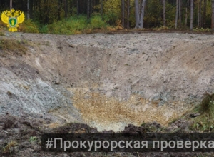 В деревне Гущино Суворовского района сняли плодородный слой почвы — проводится проверка