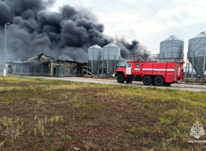 Сильный пожар произошел на территории птицефабрики «Воловский бройлер»