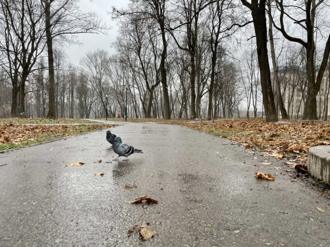 ÐÐ° Ð²ÑÑÐ¾Ð´Ð½ÑÑ Ð² Ð¢ÑÐ»Ðµ Ð¸ Ð¾Ð±Ð»Ð°ÑÑÐ¸ ÑÐ½Ð¾Ð²Ð° Ð¾Ð¶Ð¸Ð´Ð°ÑÑÑÑ Ð´Ð¾Ð¶Ð´Ð¸