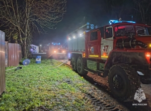 67-летняя жительница Дубенского района погибла на пожаре в собственном доме