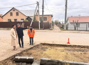 Светлана Давыдова решила проблему жителей Ефремова с парковкой и тротуаром