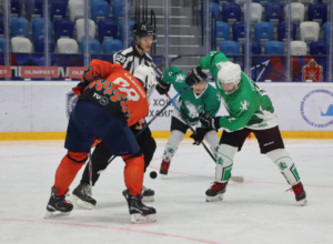 Сотрудники тульских предприятий сыграют в хоккейной Лиге