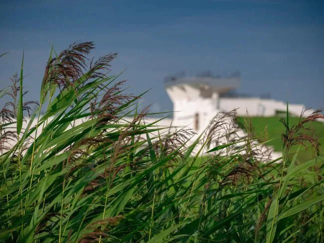 ÐÐ° ÐÑÐ»Ð¸ÐºÐ¾Ð²Ð¾Ð¼ Ð¿Ð¾Ð»Ðµ Ð²ÑÑÐ°Ð´Ð¸Ð»Ð¸ Ð½Ð¾Ð²ÑÑ Â«ÐÐµÐ»ÐµÐ½ÑÑ ÐÑÐ±ÑÐ°Ð²ÑÂ» Ðº 60-Ð»ÐµÑÐ¸Ñ Ð¼ÑÐ·ÐµÑ