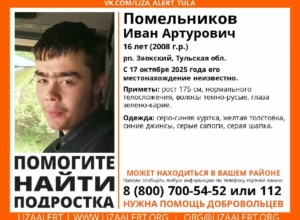 В Заокском районе ищут пропавшего 16-летнего Ивана Помельникова