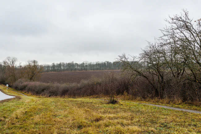 ÐÐ¾Ð²Ð¸Ð»Ð¸ÐºÐ° ÑÐ½Ð¾Ð²Ð° Ð² ÐÑÑÐµÐ¼Ð¾Ð²ÑÐºÐ¾Ð¼ ÑÐ°Ð¹Ð¾Ð½Ðµ: Ð¸Ð·-Ð·Ð° Ð¾Ð¿Ð°ÑÐ½Ð¾Ð³Ð¾ ÑÐ°ÑÑÐµÐ½Ð¸Ñ Ð²Ð²ÐµÐ»Ð¸ ÐºÐ°ÑÐ°Ð½ÑÐ¸Ð½