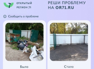 В Тульской области за неделю решили 1 601 обращение: где сработали быстрее всего