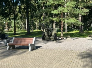 Мужчина справил нужду на воинский мемориал в Новомосковске и рискует получить реальный срок