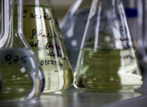 В Тульской области наградят авторов работ в сфере науки и техники