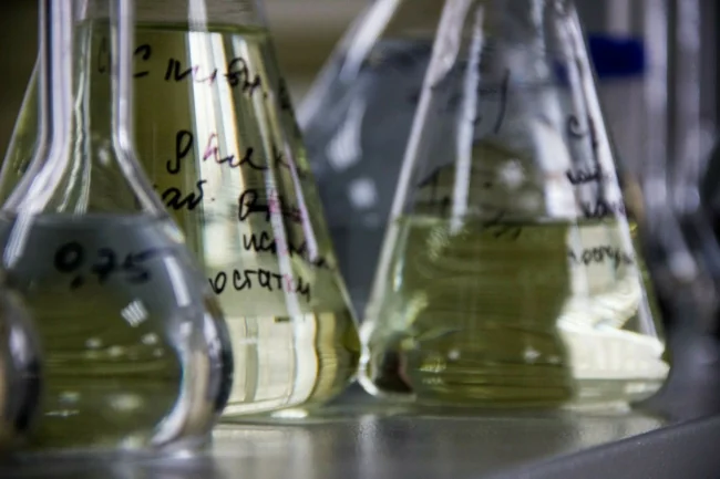 Ð Ð¢ÑÐ»ÑÑÐºÐ¾Ð¹ Ð¾Ð±Ð»Ð°ÑÑÐ¸ Ð½Ð°Ð³ÑÐ°Ð´ÑÑ Ð°Ð²ÑÐ¾ÑÐ¾Ð² ÑÐ°Ð±Ð¾Ñ Ð² ÑÑÐµÑÐµ Ð½Ð°ÑÐºÐ¸ Ð¸ ÑÐµÑÐ½Ð¸ÐºÐ¸