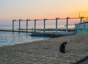 Туляки начали планировать отпуск в 2026 году уже сейчас