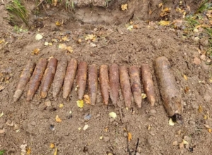 В Тульской области в деревне Протасово обнаружили 13 неразорвавшихся снарядов