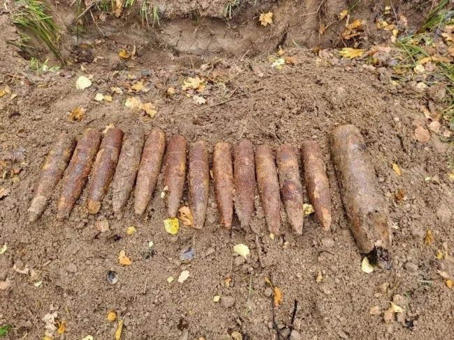 Ð Ð¢ÑÐ»ÑÑÐºÐ¾Ð¹ Ð¾Ð±Ð»Ð°ÑÑÐ¸ Ð² Ð´ÐµÑÐµÐ²Ð½Ðµ ÐÑÐ¾ÑÐ°ÑÐ¾Ð²Ð¾ Ð¾Ð±Ð½Ð°ÑÑÐ¶Ð¸Ð»Ð¸ 13 Ð½ÐµÑÐ°Ð·Ð¾ÑÐ²Ð°Ð²ÑÐ¸ÑÑÑ ÑÐ½Ð°ÑÑÐ´Ð¾Ð²