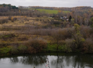 Надвигается непогода: туляков предупредили об усилении ветра