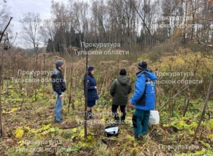 В Заокском районе очистные сооружения загрязняли приток реки Скнижки