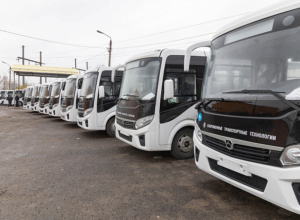 Стало известно, на каких маршрутах в Тульской области будут работать новые автобусы