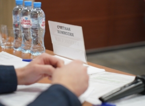 Элеонора Чубуева назначена аудитором счетной палаты Тульской области