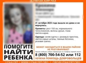 В Узловском районе пропала 10-летняя немая девочка