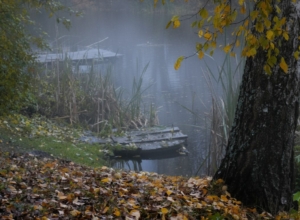 Дождливый, пасмурный, но теплый. Каким был октябрь в Тульской области
