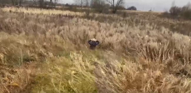 ÐÐµÐ¼ÑÑ Ð´ÐµÐ²Ð¾ÑÐºÑ Ð² Ð£Ð·Ð»Ð¾Ð²Ð¾Ð¹ Ð½Ð°ÑÐ»Ð¸ Ð² Ð¿Ð¾Ð»Ðµ Ñ Ð¿Ð¾Ð¼Ð¾ÑÑÑ Ð°Ð²Ð¸Ð°ÑÐ¸Ð¸. ÐÐ¸Ð´ÐµÐ¾